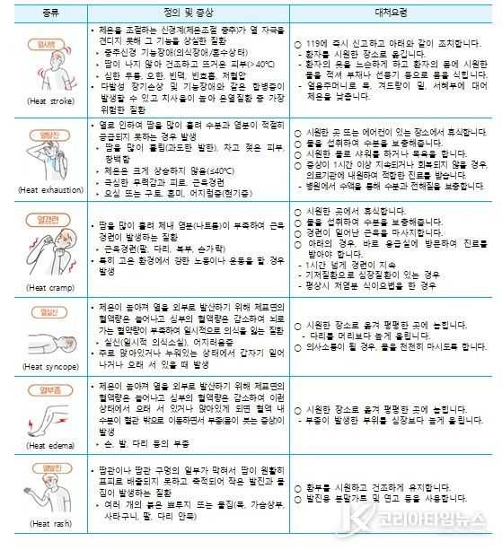 더위질병 상식