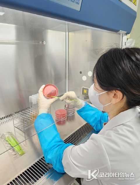 학교 급식소 조리기구·조리식품 검사