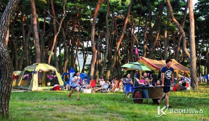 명품 휴양지 영동 송호관광지