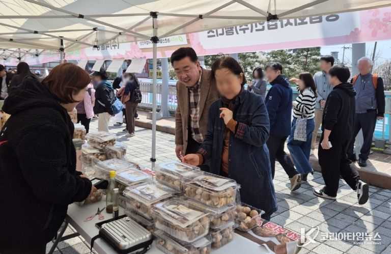 2025 청주시 벚꽃축제, 43만명 발길 속 안전하게 마무리