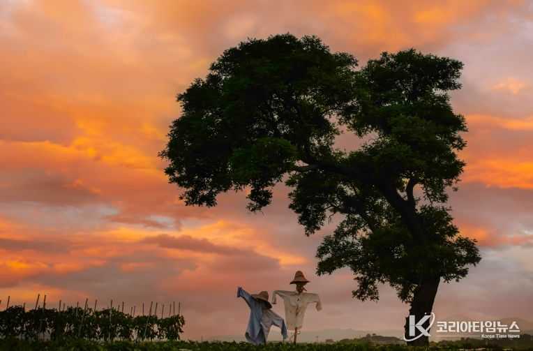 ‘순간포착 달성!’ 제14회 달성군 전국 사진공모전