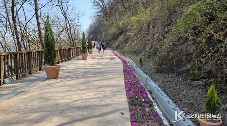 꽃길 조성 사진