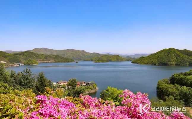 진안군 형형색색 꽃이 가득한 용담호로 오세요~!