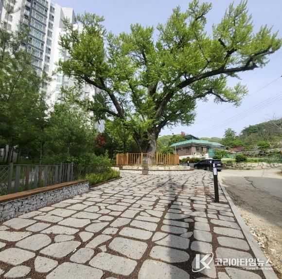 동두천시, 사당골 은행나무 보호수 주변 소규모 쉼터 환경 개선