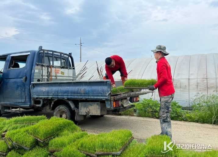 15일 해병대 장병들이 농번기를 맞아 농촌 일손돕기 대민지원에 나섰다.
