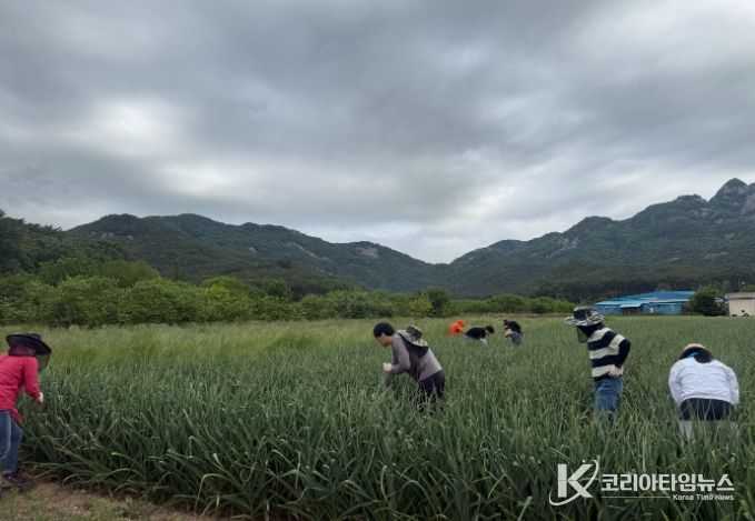 부안군 산림정원과, 영농철 일손돕기