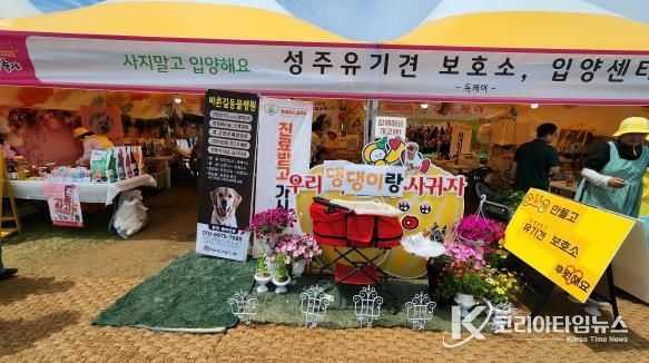 성주군 강아지도 행복한 성주참외&생명문화축제 무료진료 성황리에 마쳐