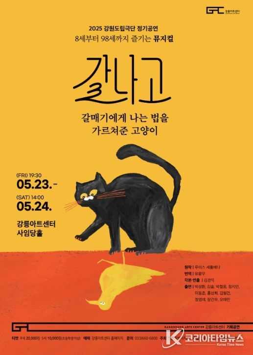 <갈매기에게 나는 법을 가르쳐준 고양이> 강릉아트센터에서 초연