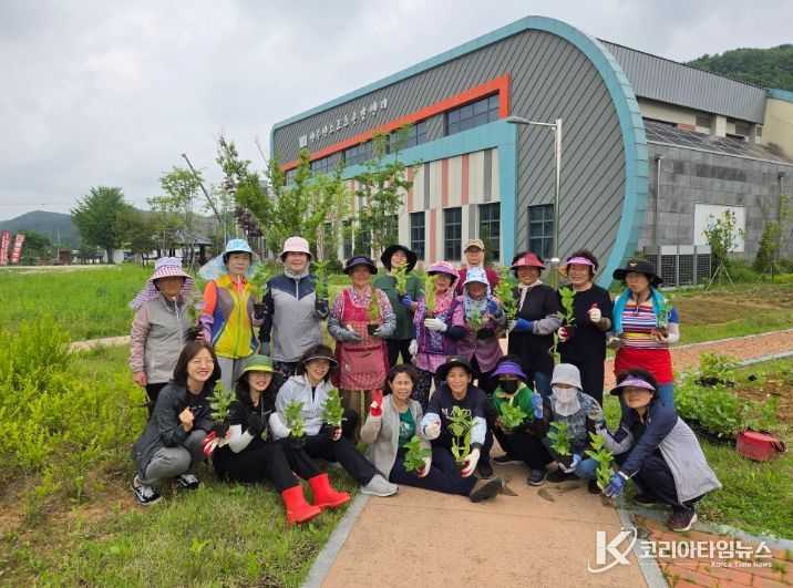 진안군 성수면 농가주부모임 백일홍 꽃심어요