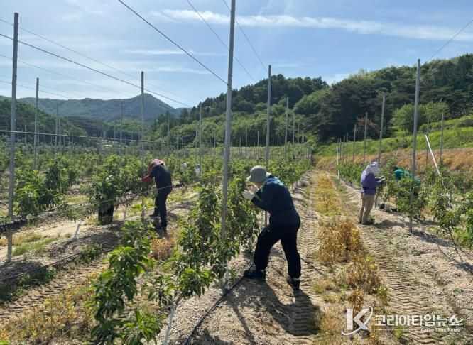 장수군 계남면, 영농철 맞아 농가 일손돕기 추진