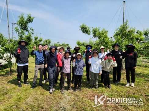 김천시 산림녹지과, 농촌 일손 돕기와 대통령 선거 투표 참여 홍보-산림녹지과