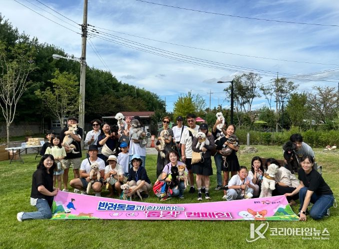 태산패밀리파크 반려견 놀이터