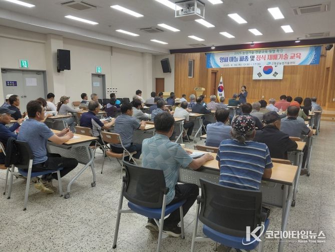 양파마늘 교육