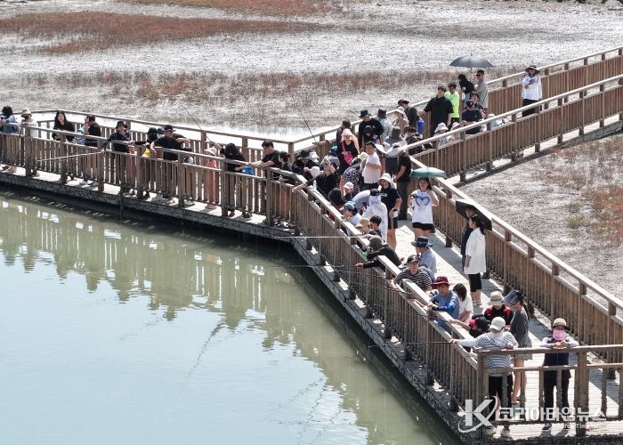 13~21일 진행되어 성황리에 마무리된 제11회 무안황토갯벌축제