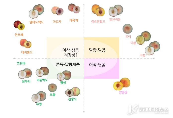 소비자 공감 복숭아 맛 정보 지도(안)