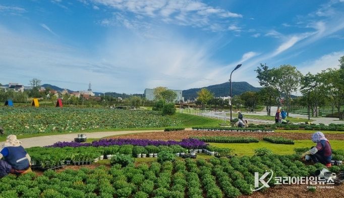 ‘오천그린광장’, 가을꽃 식재로 분주