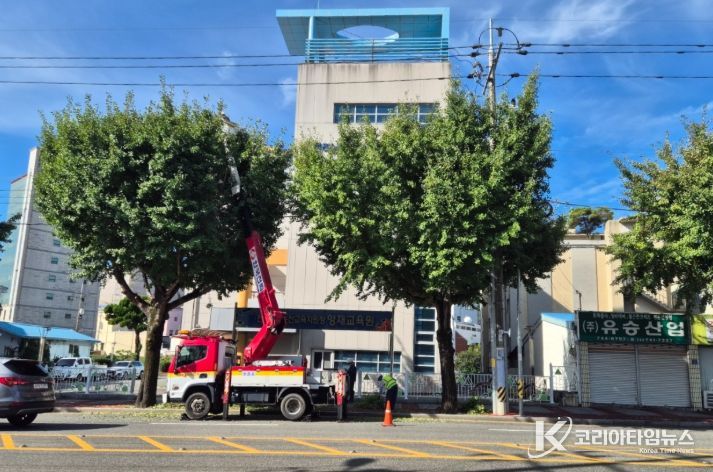 가로수 합동 전정 작업’으로 안전 강화