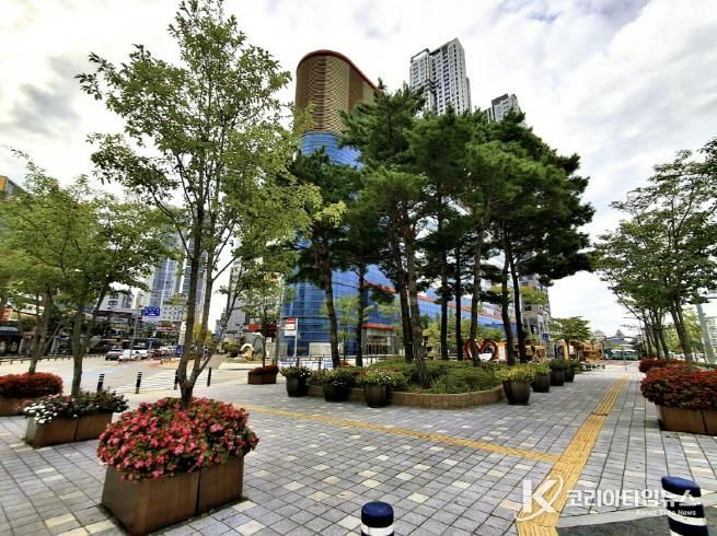 아산시 온양3동 터미널 앞 사거리에 조성된 가로수 화분 모습