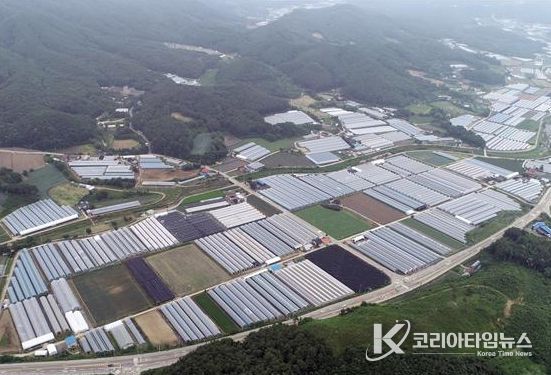 횡성군, 스마트 원예단지