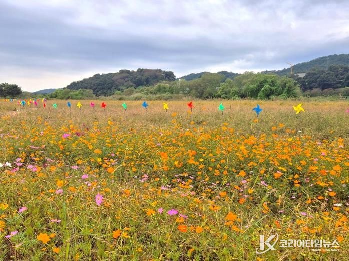 제3회 여주 대신섬 가을사랑 축제 개막…가을바람 따라 알록달록 바람개비 물결