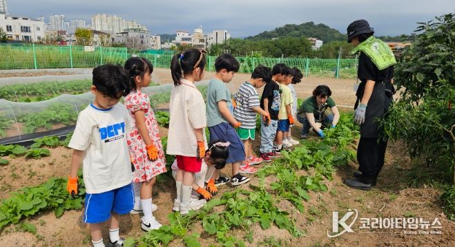 순천시, 시민참여형 도시텃밭 체험 프로그램 큰 호응