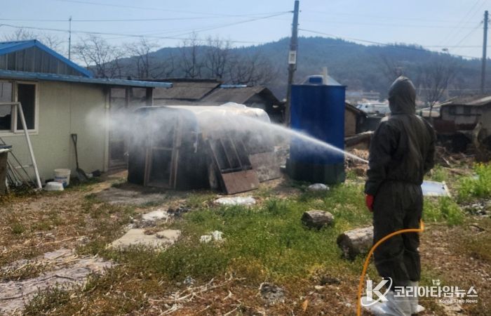 영천시 공동방제단 소독 지원 모습