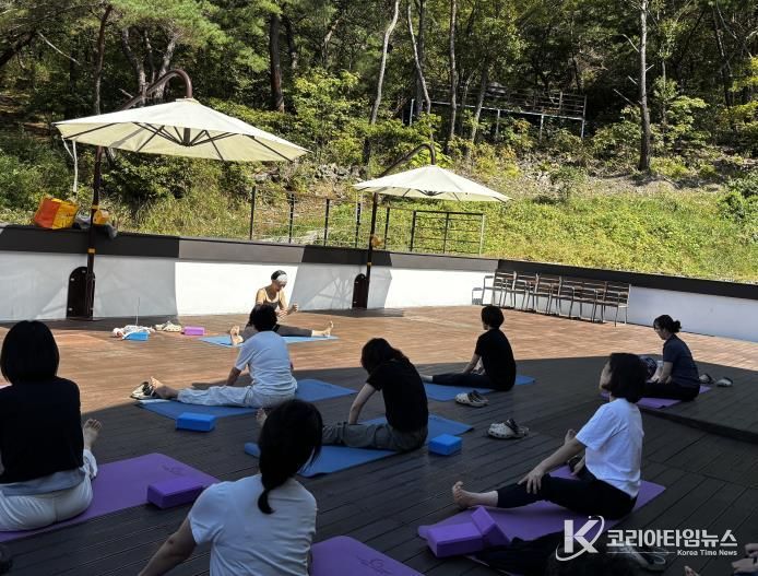 요가 프로그램 사진