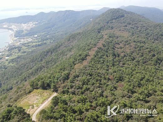 화양면 봉화산 임도 항공사진
