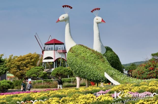 태안 가을꽃박람회