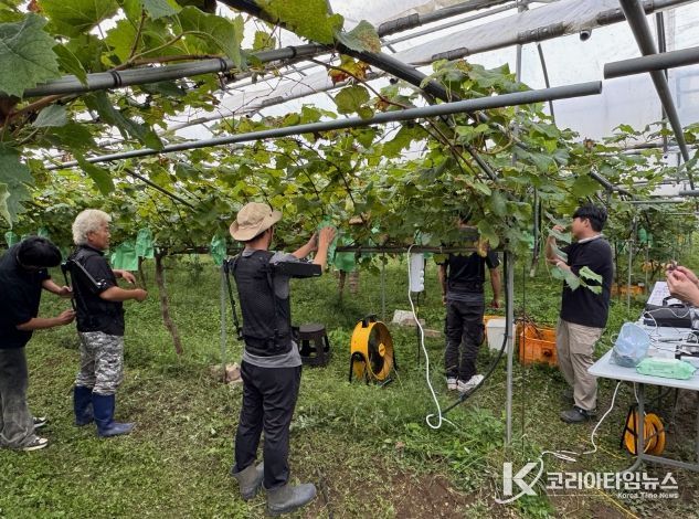 지난 30일, 관내 포도재배농가에서 웨어르블로봇 ‘엑스블 숄더’를 착용하고 생체역학적 평가를 진행하고 있다.