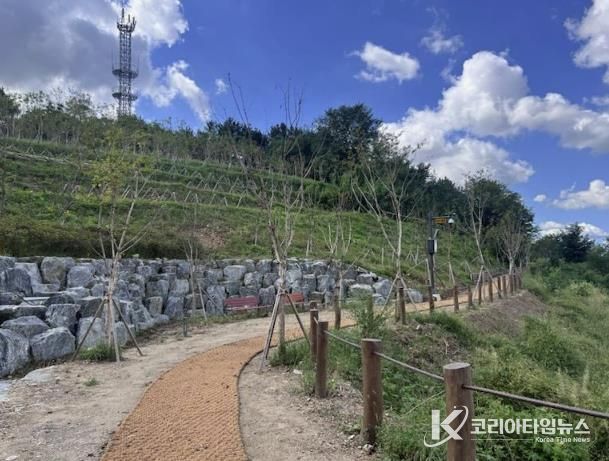 봉대미숲 산책로