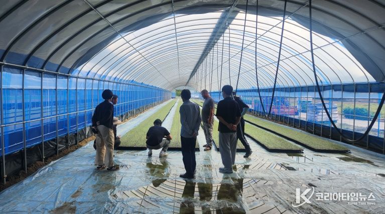 김천시, 양파 기계 육묘 현장 기술 컨설팅 실시