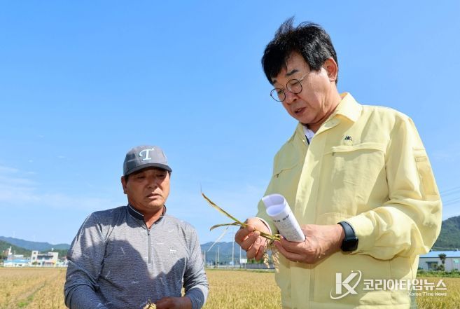벼 깨씨무늬병’ 피해 최소화 총력 대응