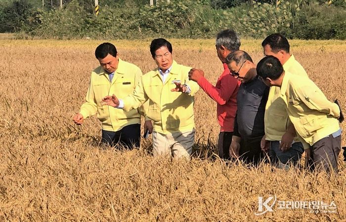 공영민 고흥군수, 벼‘깨씨무늬병’ 피해 현장 점검… 확산 방지 총력 대응