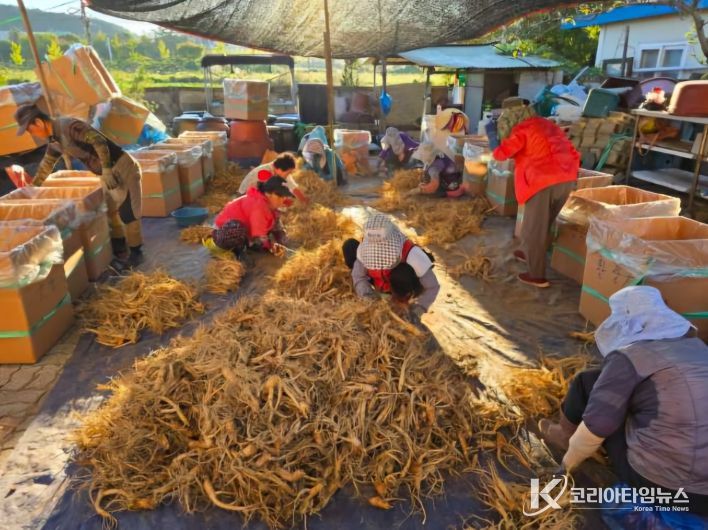 증평군,‘증평형 농촌일손 더하기’