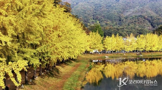 문광면 양곡저수지
