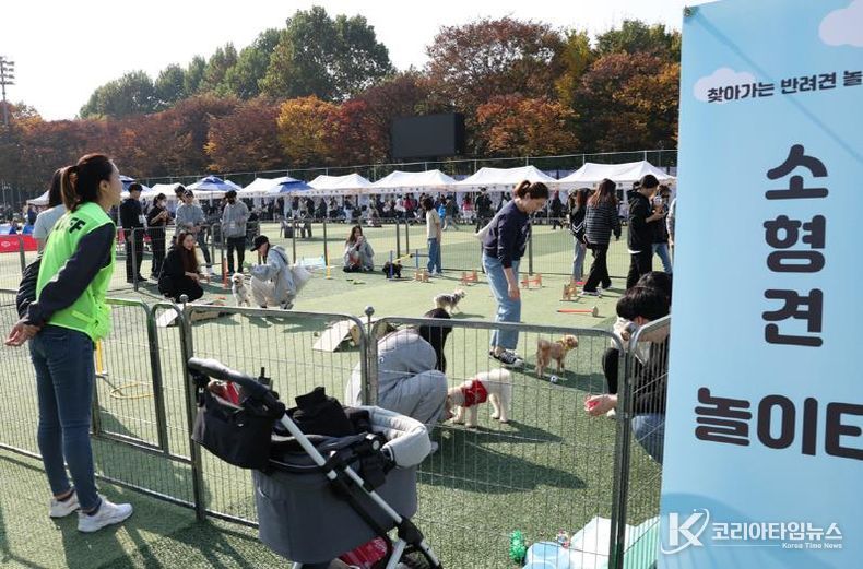 2024 반려동물 축제 노원반함_반려견놀이터 운영 모습