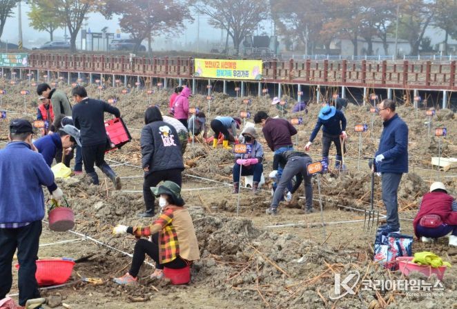 연근캐기 체험행사 전경