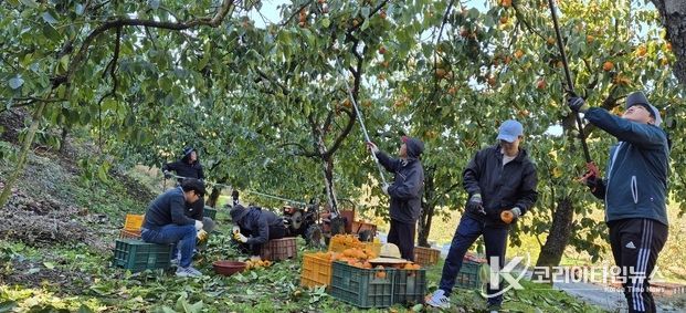 고성군, 가을철 농촌일손돕기 본격 추진