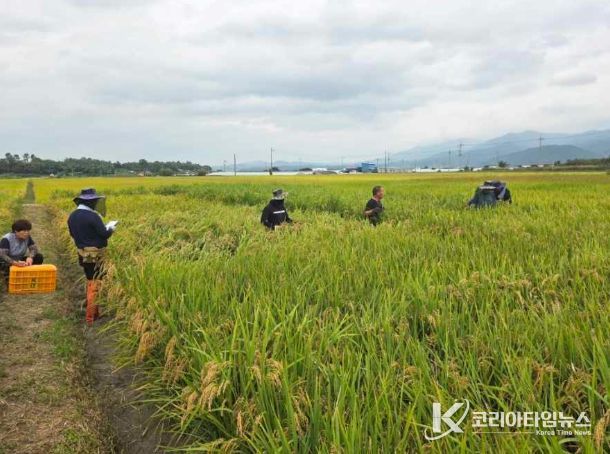 곡성군, 벼 깨씨무늬병 예방 위해 현장 기술지원 강화