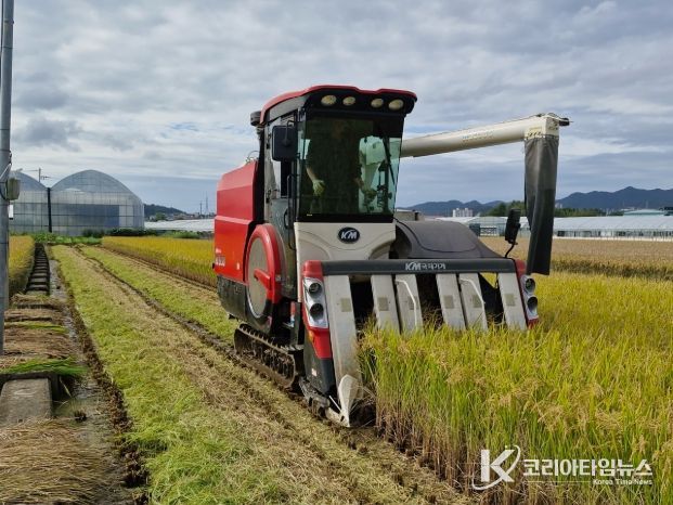 고성군, 벼 예찰답 수확