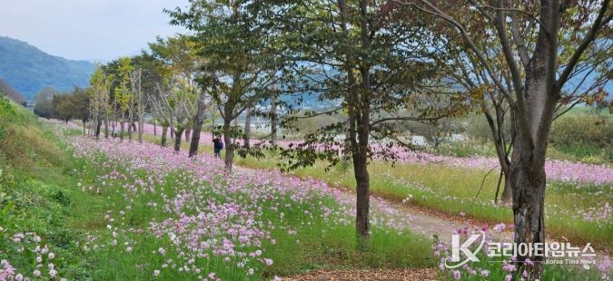 석곡면은‘제25회 석곡 코스모스 음악회