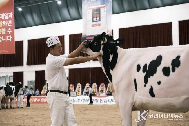 여주시, ‘2025 한국 홀스타인 품평회’에서 8개 부문 수상 쾌거