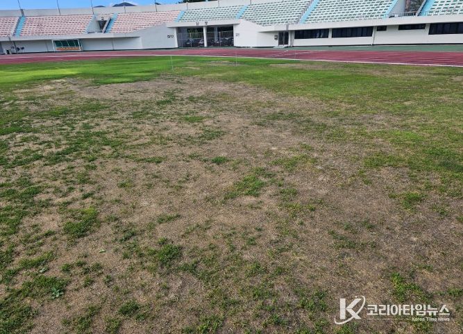 오버시딩 전 밀양시종합운동장 축구장 잔디 전경