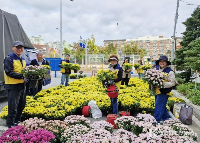 고양시 가좌동, 가을맞이 국화 730본 식재