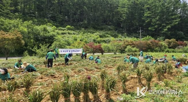 서울새마을부녀회 활동 사진