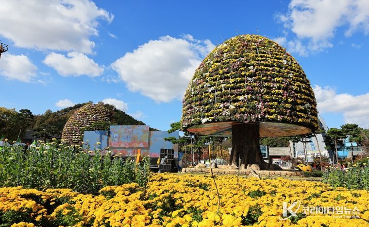 함평군, 인플루언서 초청 ‘2025 함평 관광 팸투어’ 개최