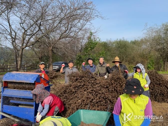 양평군 개군면 지역사회보장협의체, 사랑 애(愛) 농산물 들깨 탈곡 실시