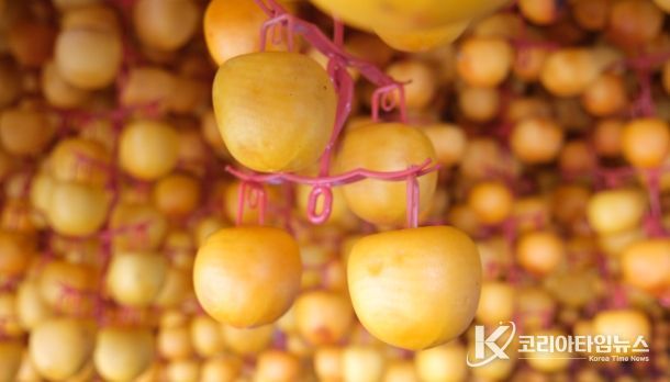‘영동곶감’ 만들기 본격 돌입