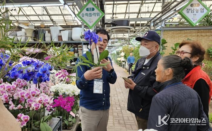 ‘양재동 꽃시장’ 현장 체험 사진